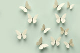 Find Your Perfect Look: Effortless Elegance with Butterfly Pins