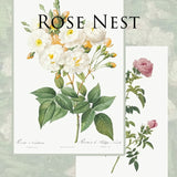 Nest of Roses Brooch