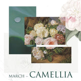 Camellia Pearl Hair Clip