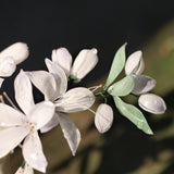 Ivory Lily U-Shaped Hair Stick