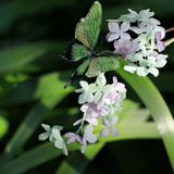 Hyedrangea & Butterfly U-Shaped Hair Stick