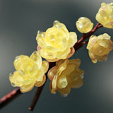 Wintersweet Blossom Bamboo Hair Stick