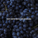 Vineyard Shine Necklace