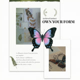 Contour Wing Crystal Earrings