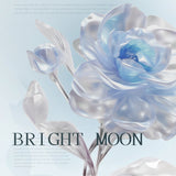 Luminous Ocean Moon Hair Pin