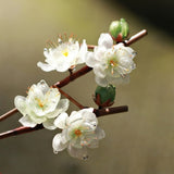 Royal Plum Blossom Bamboo Hair Stick