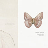 Pink Serenity Butterfly Couture Clip