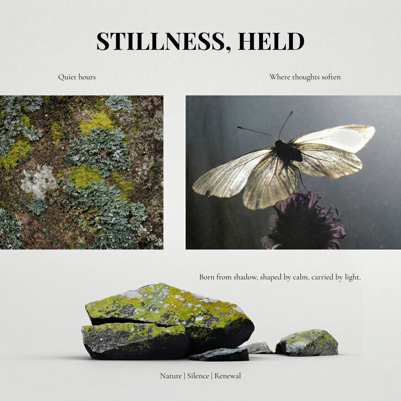 Aurelia Nocturne Butterfly Hair Stick