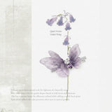 Virelia Lace Butterfly Clip