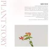 Rosé leaf Charm Hair Clip