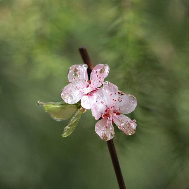 Peach Blossom Bamboo Hair Stick