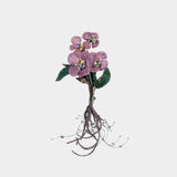 Blooming Meadow Fern Brooch