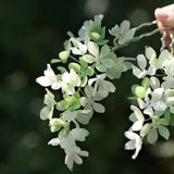 Hydrangea Leaf U-Shaped Hair Stick