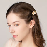 Exotic Butterfly Small Hair Clip