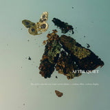 Aurelia Nocturne Butterfly Clip