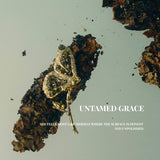 Aurelia Nocturne Butterfly Brooch