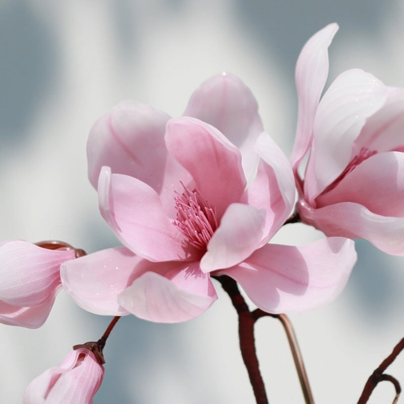 Japanese Royal Magnolia U-Shaped Hair Stick