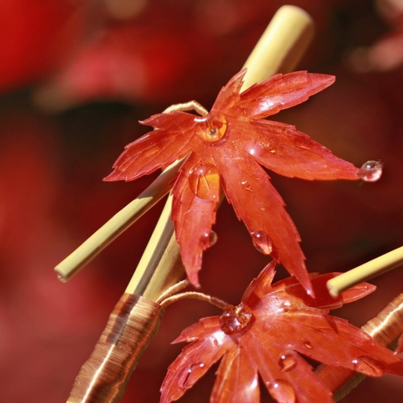 Autumn Maple Bamboo Hair Stick