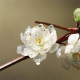 Royal Plum Blossom Bamboo Hair Stick