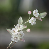 Dewdrop Sakura U-Shaped Hair Stick
