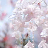 Korean Princess Cherry Blossom Tassel Hair Stick