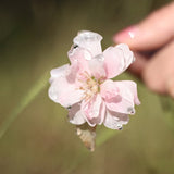 Pink Cherry Blossom Hair Stick