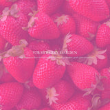 Strawberry Blossom Bracelet