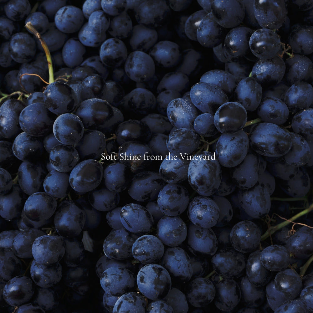 Vineyard Shine Necklace