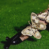 Gold Aurora Butterfly Pin